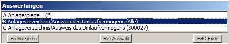 Datei:Anlagauswertungselect.png