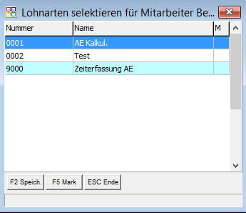 Datei:Mit.Lohnarten Select..PNG
