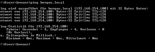 Datei:DNS CMD Ping.png